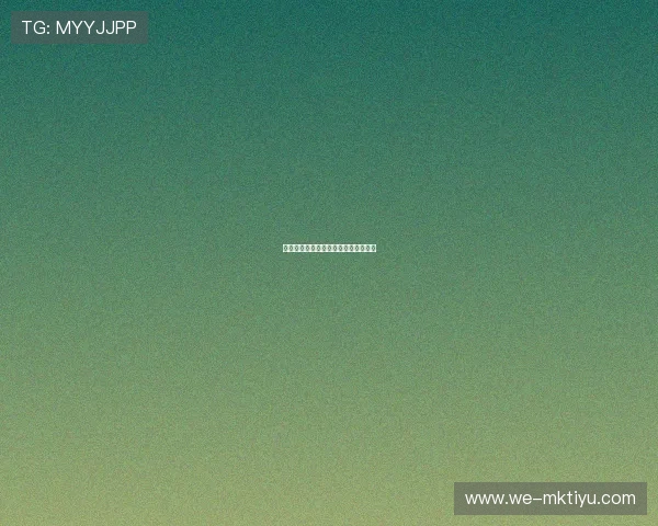 德甲最新赛况深度解析与球队转会动态